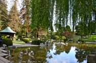 Lower_pond_at_Japanese_Friendship_Garden_in_San_Jose